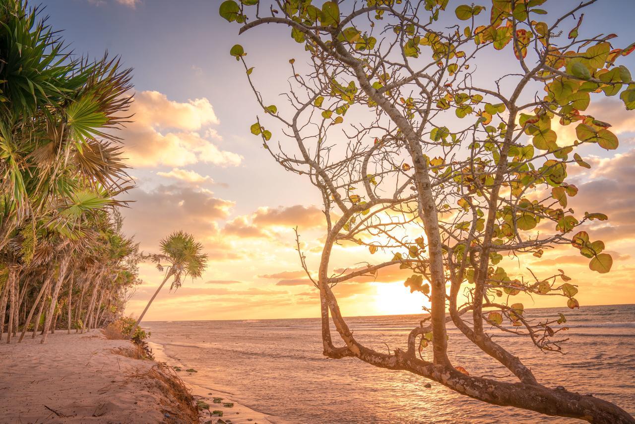 Platinum Yucatan Princess Adults Only Playa del Carmen Zewnętrze zdjęcie Sunset at the beach